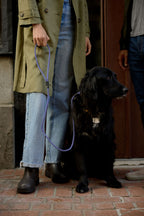 Dog Training Leash product image 9