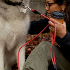 Dog Training Leash product image 10
