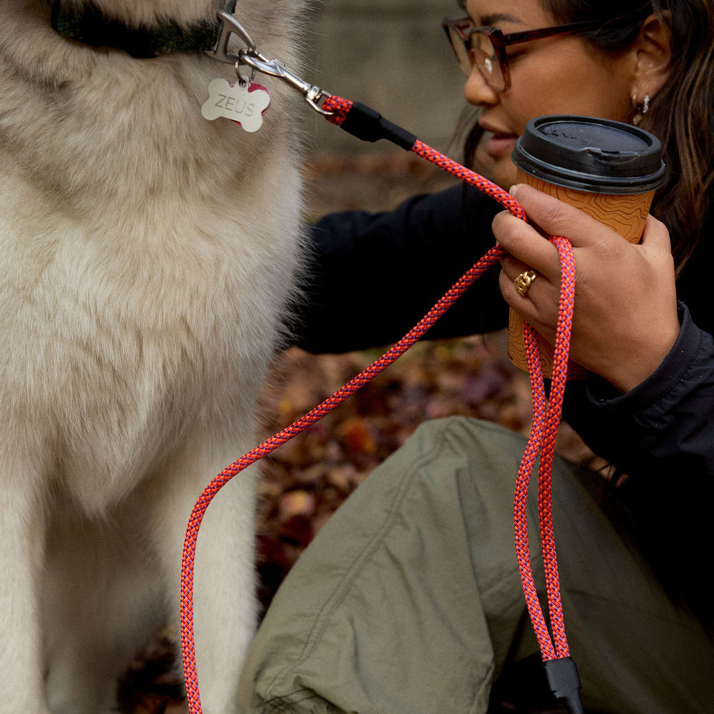 Dog Training Leash product image 10
