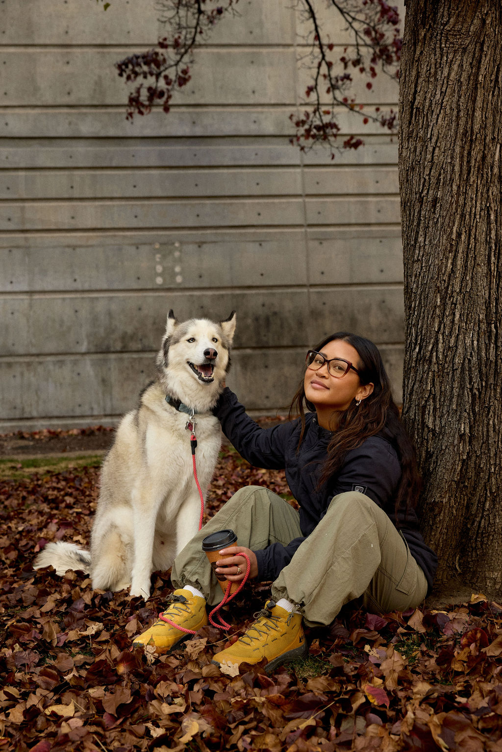 Dog Training Leash product image 11