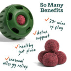 Dog Wellness Pops product image 2