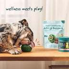 Dog Wellness Pops product image 4