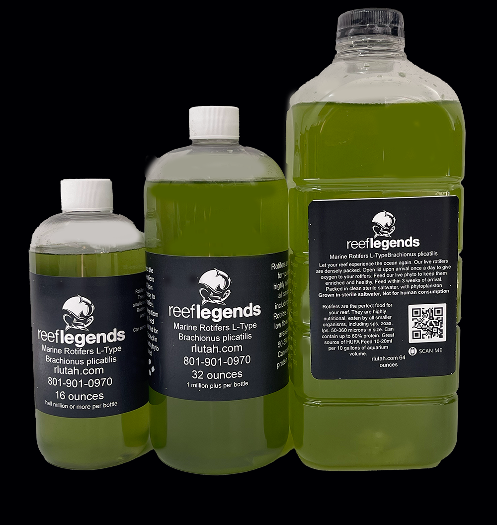Live Rotifers product image 1