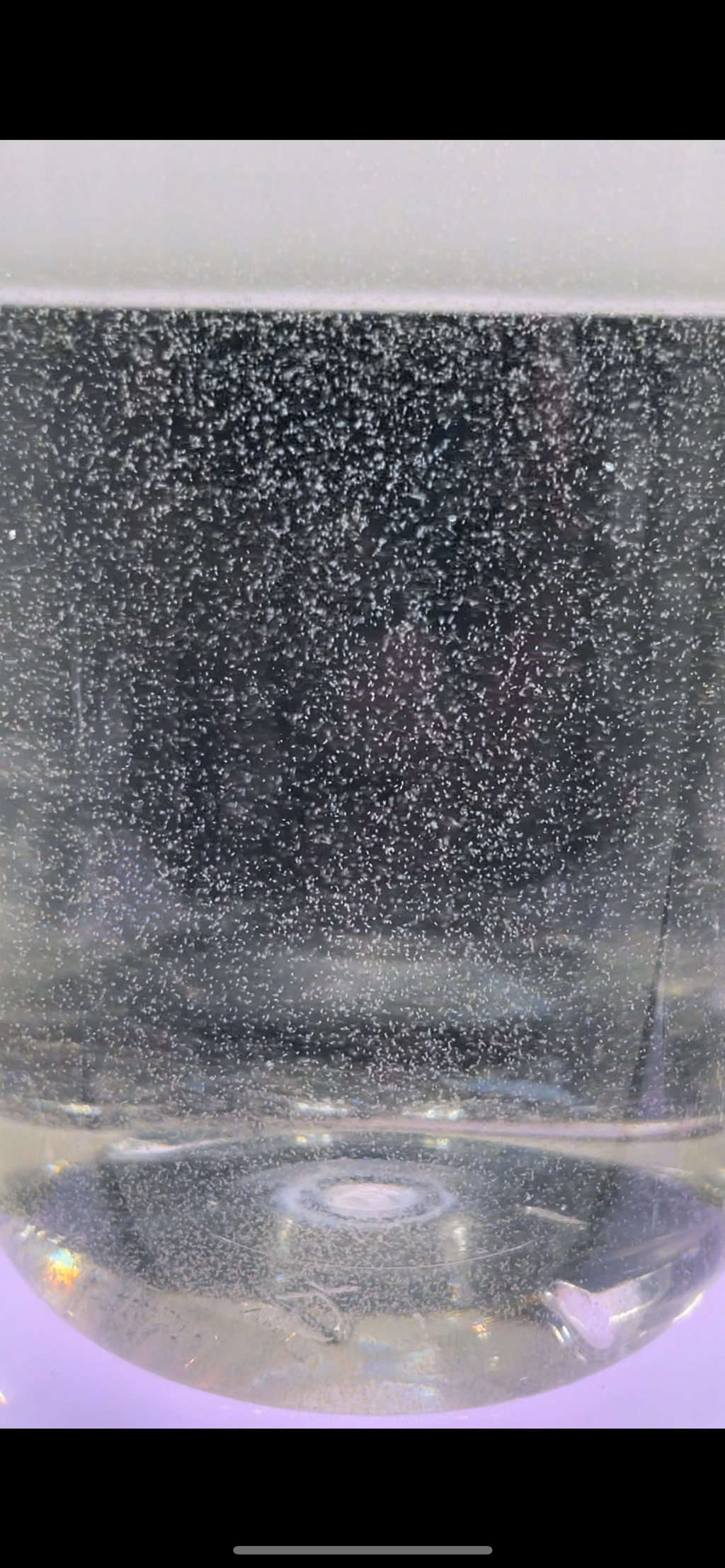 Live Rotifers product image 6