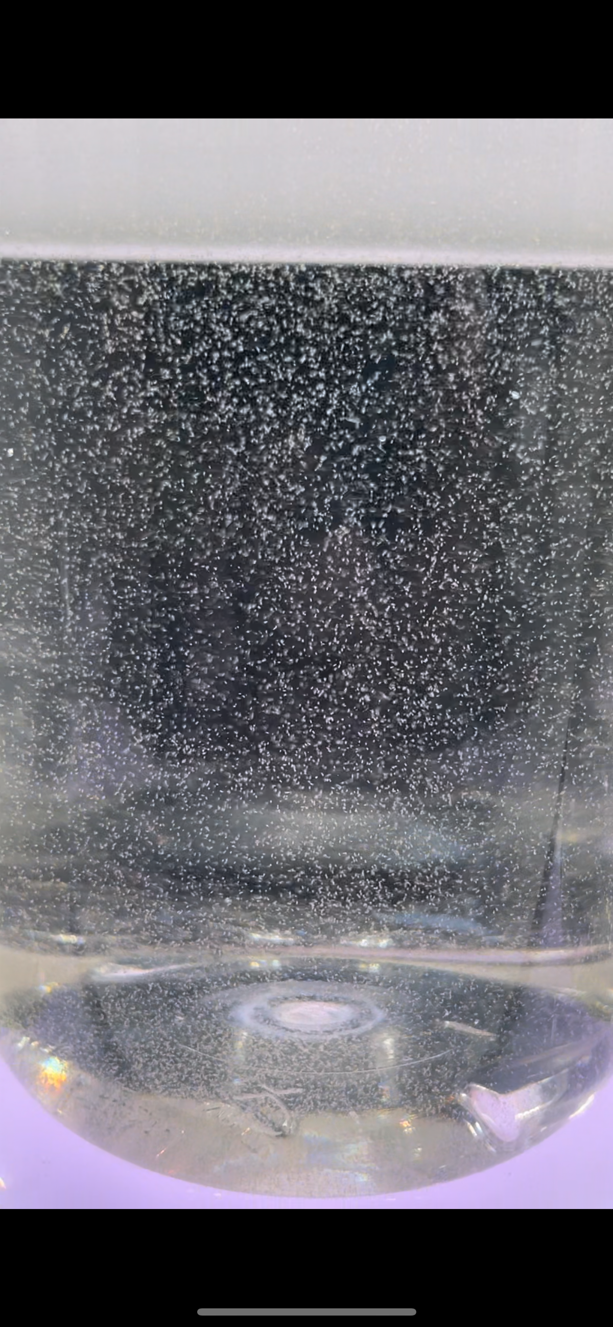 Live Rotifers product image 6
