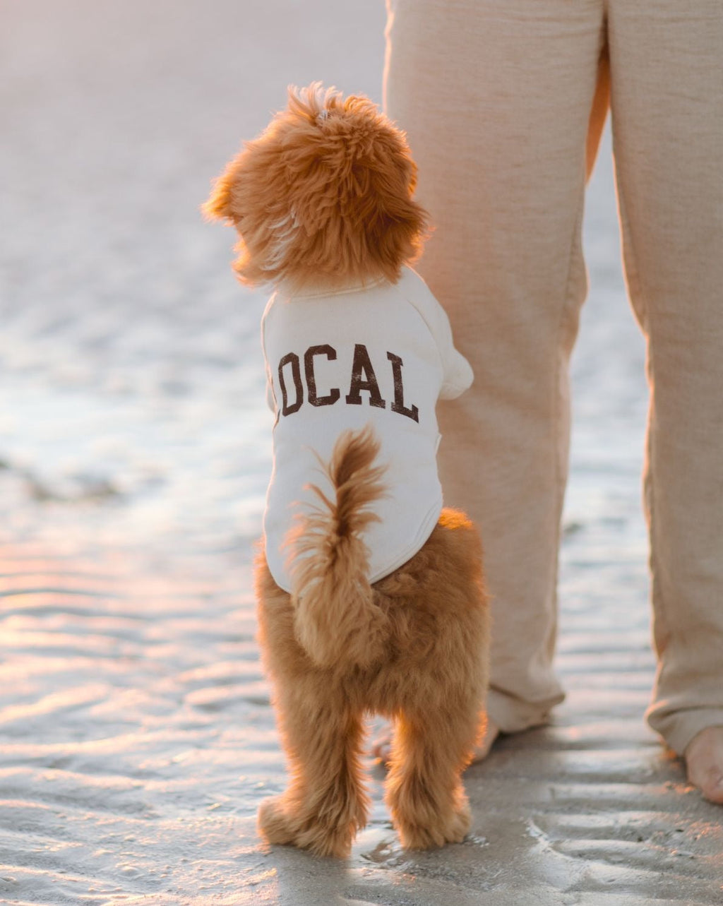 Dog Sweatshirt product image 7