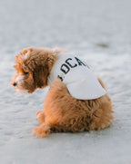Dog Sweatshirt product image 8