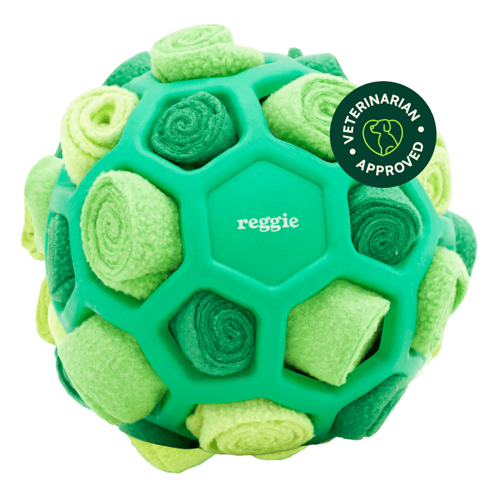 Interactive Snuffle Ball Dog Toy product image 1
