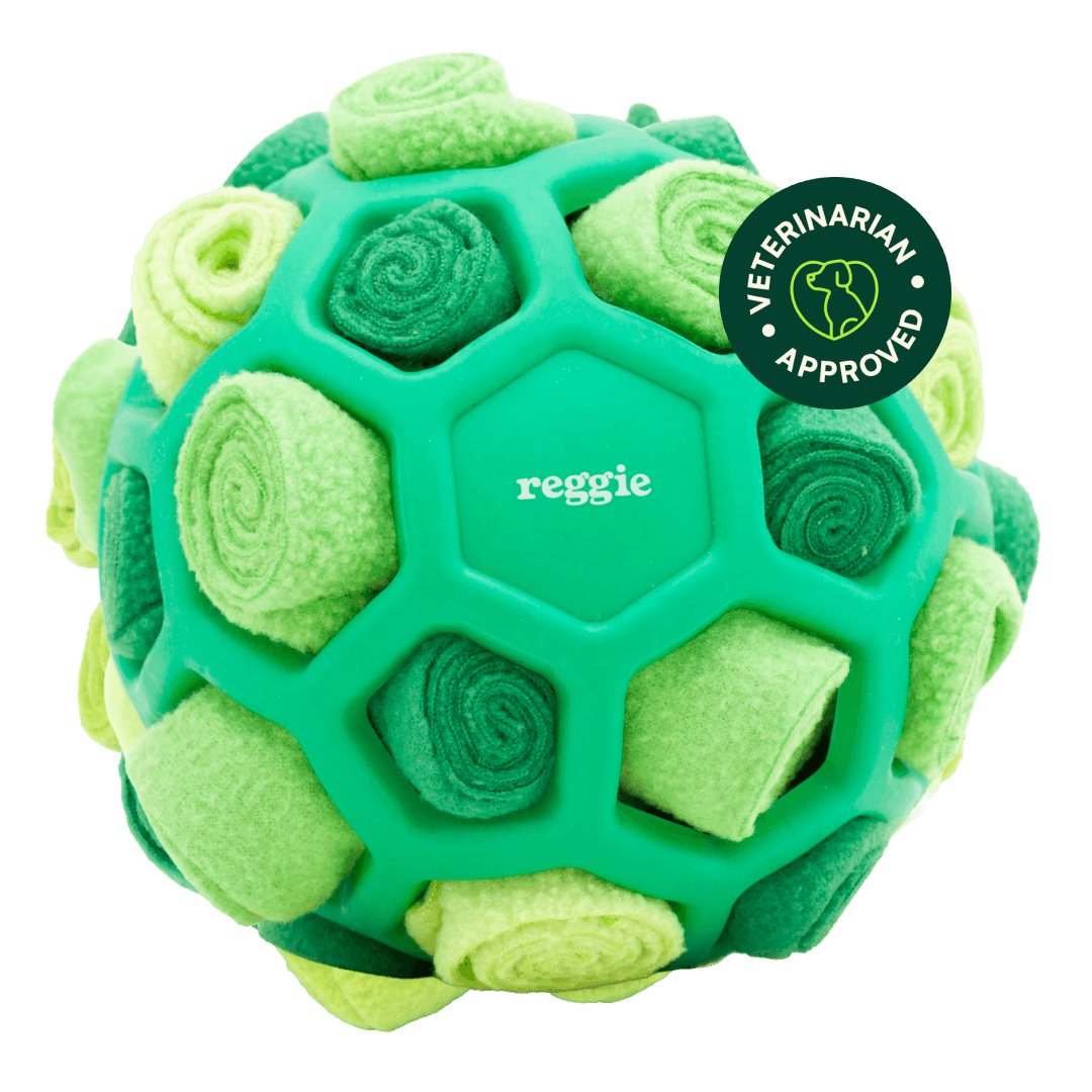 Interactive Snuffle Ball Dog Toy product image 1