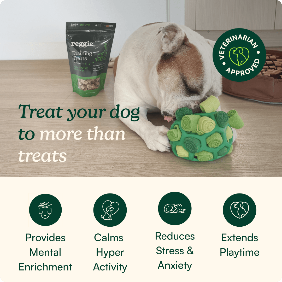 Interactive Snuffle Ball Dog Toy product image 2