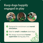 Interactive Snuffle Ball Dog Toy product image 3