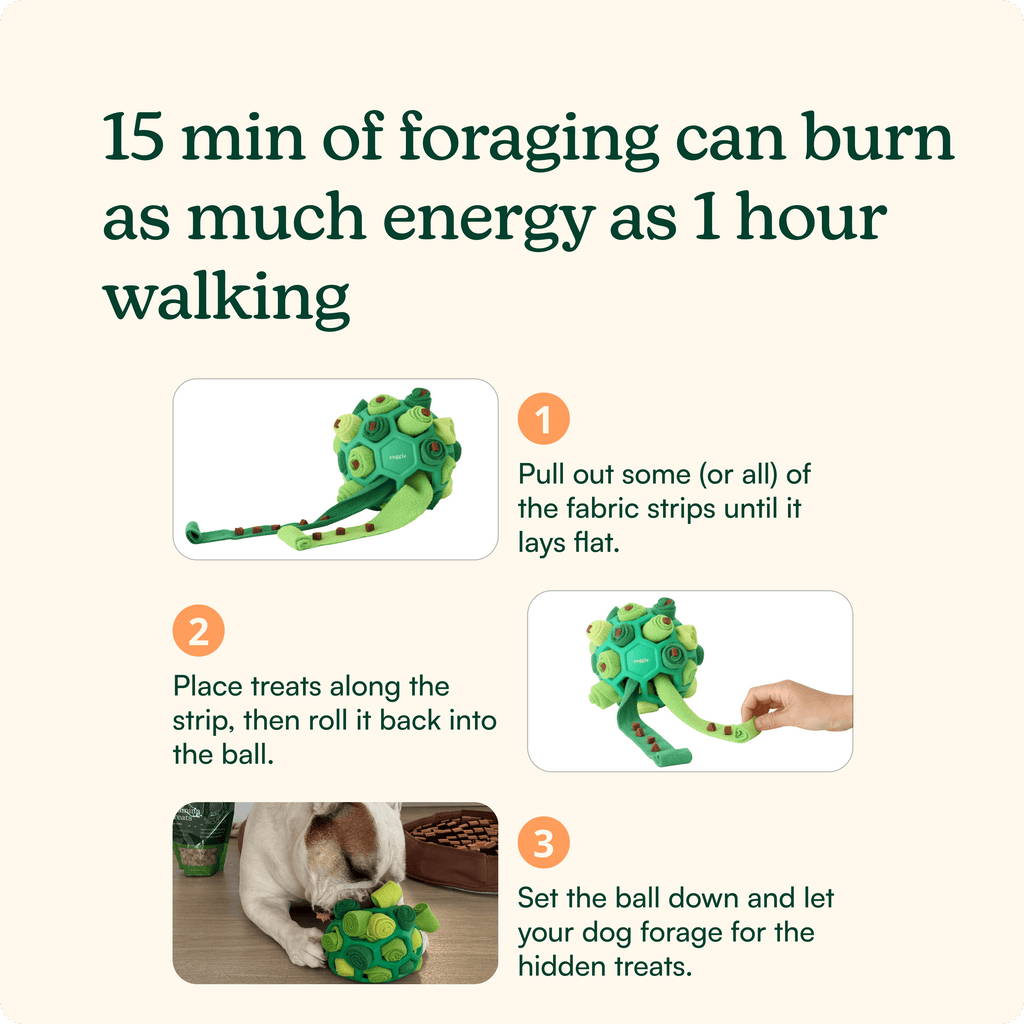 Interactive Snuffle Ball Dog Toy product image 5