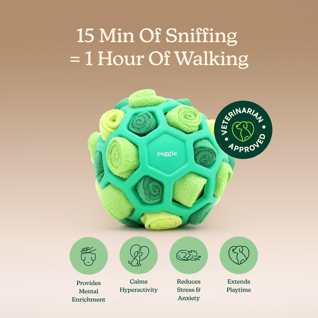 Interactive Snuffle Ball Dog Toy product image 6