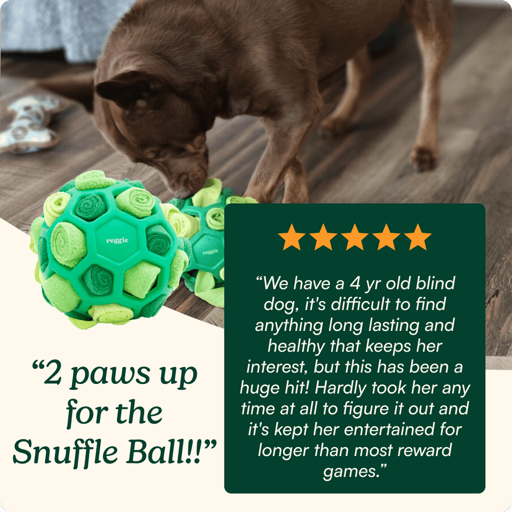 Interactive Snuffle Ball Dog Toy product image 7