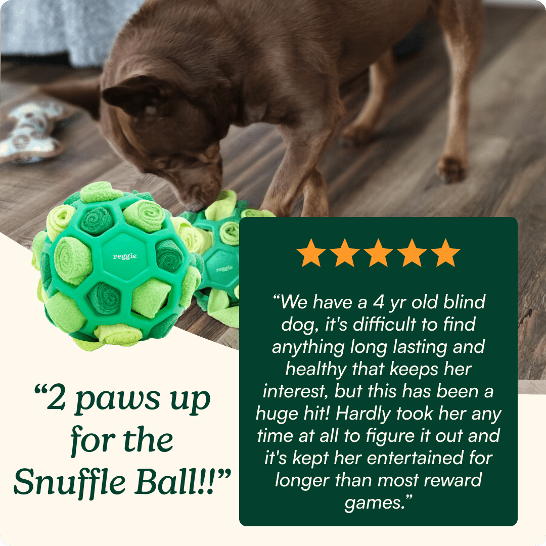 Interactive Snuffle Ball Dog Toy product image 7