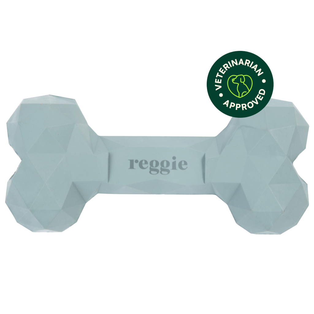 Dog Bone Toy product image 1