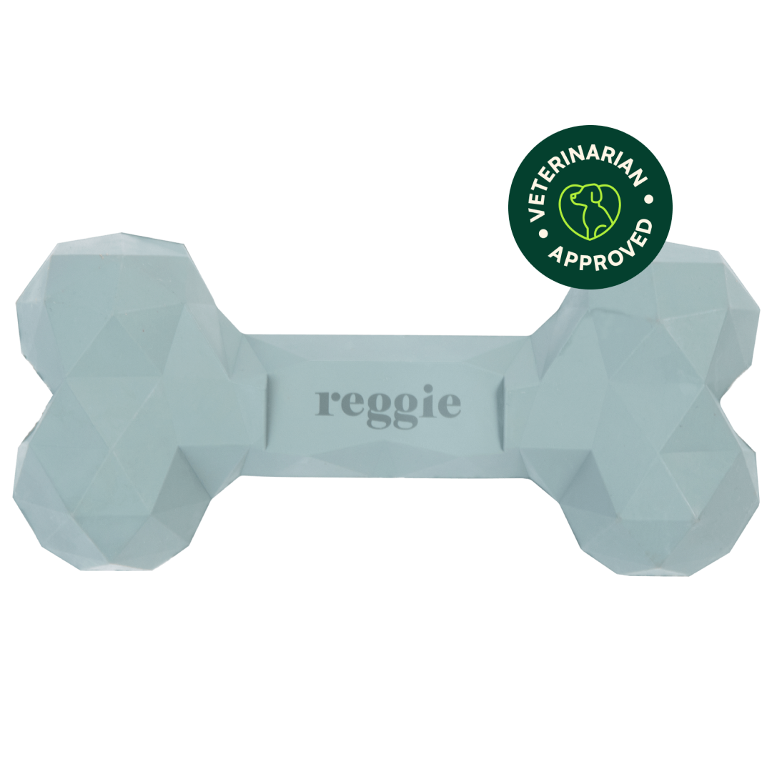 Dog Bone Toy product image 1