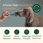 Dog Bone Toy product image 2