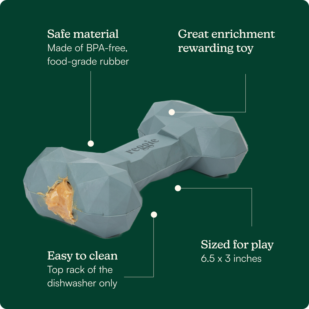 Dog Bone Toy product image 3