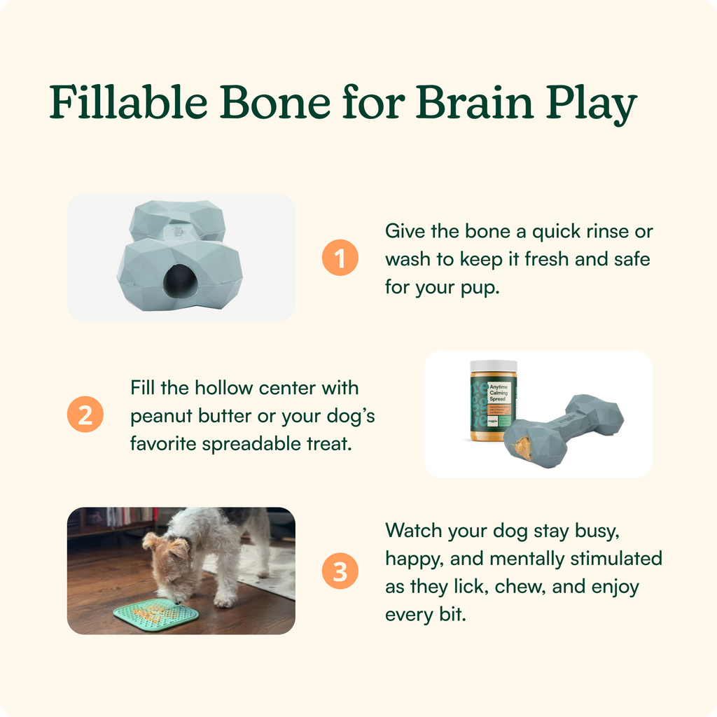 Dog Bone Toy product image 5