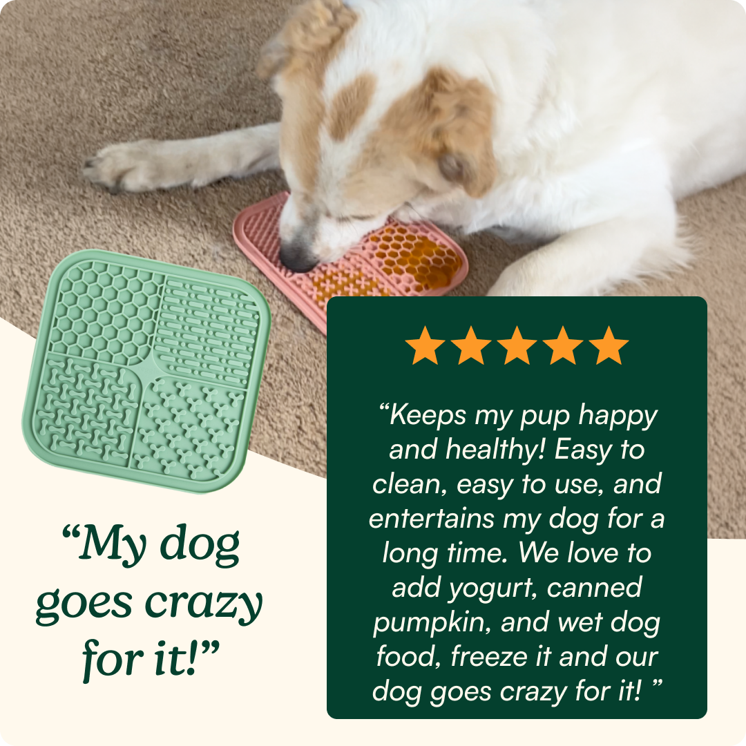 Dog Lick Mat product image 7