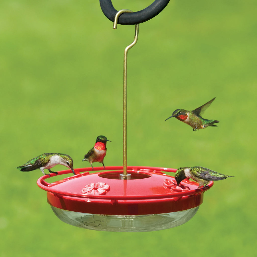Hummingbird Feeder product image 2