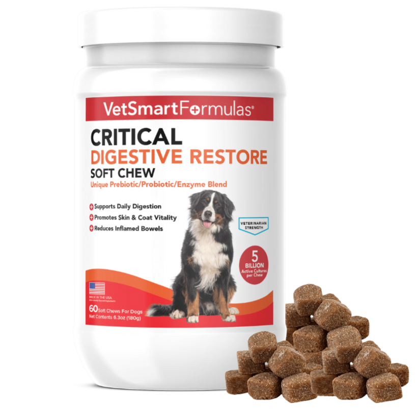 Dog Probiotic Soft Chew product image 1