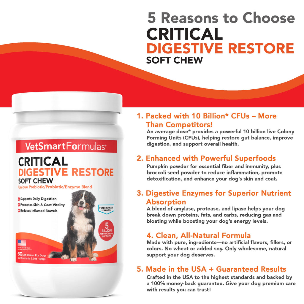 Dog Probiotic Soft Chew product image 4