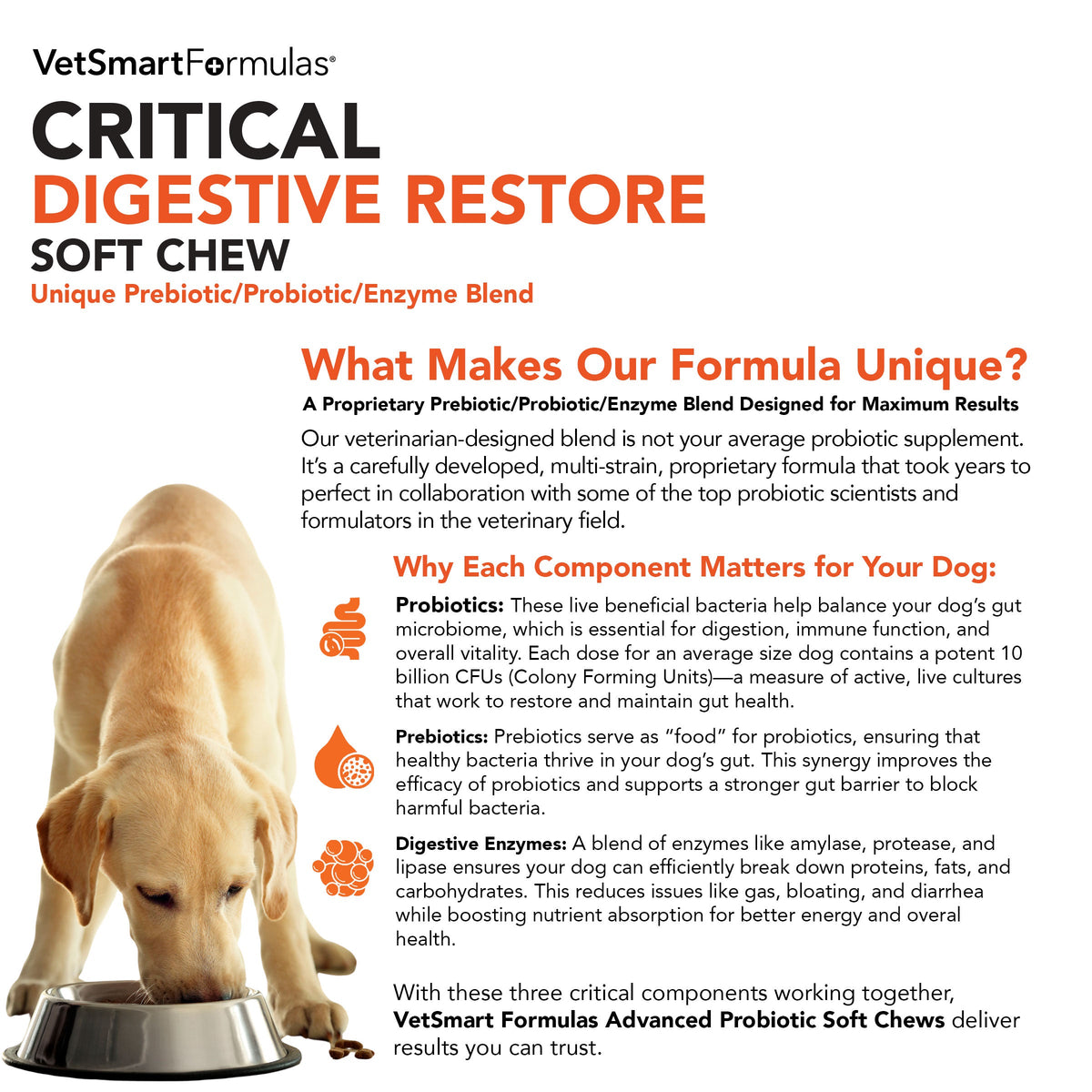 Dog Probiotic Soft Chew product image 5