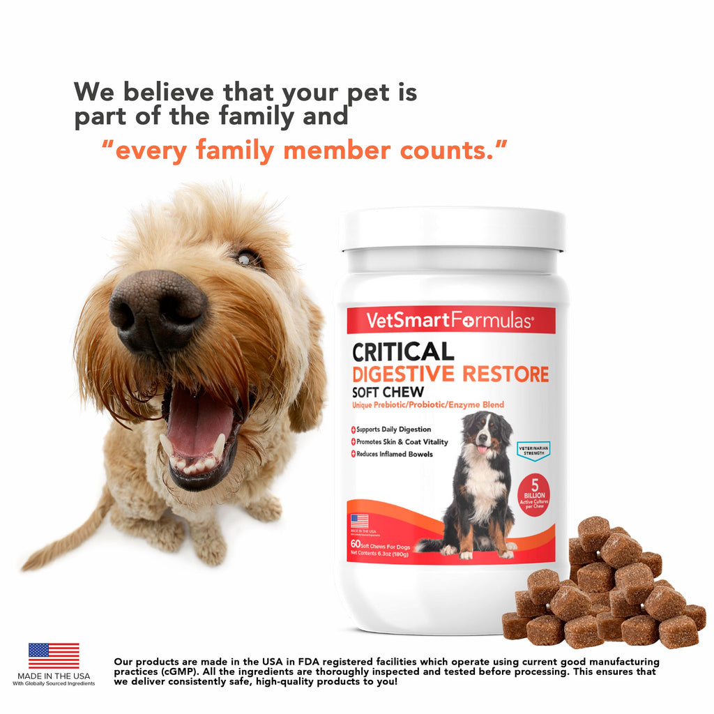 Dog Probiotic Soft Chew product image 6