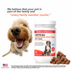 Dog Probiotic Soft Chew product image 6