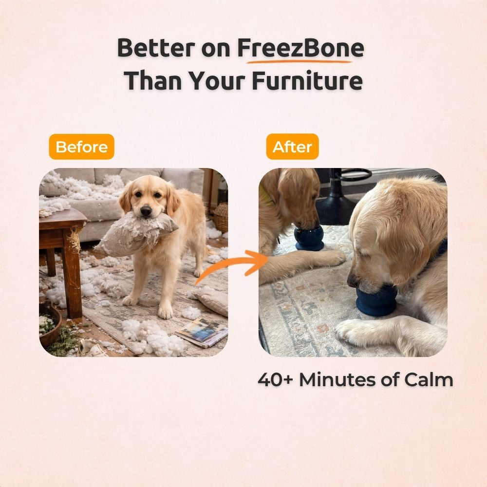 Treat Dispensing Dog Toy product image 3