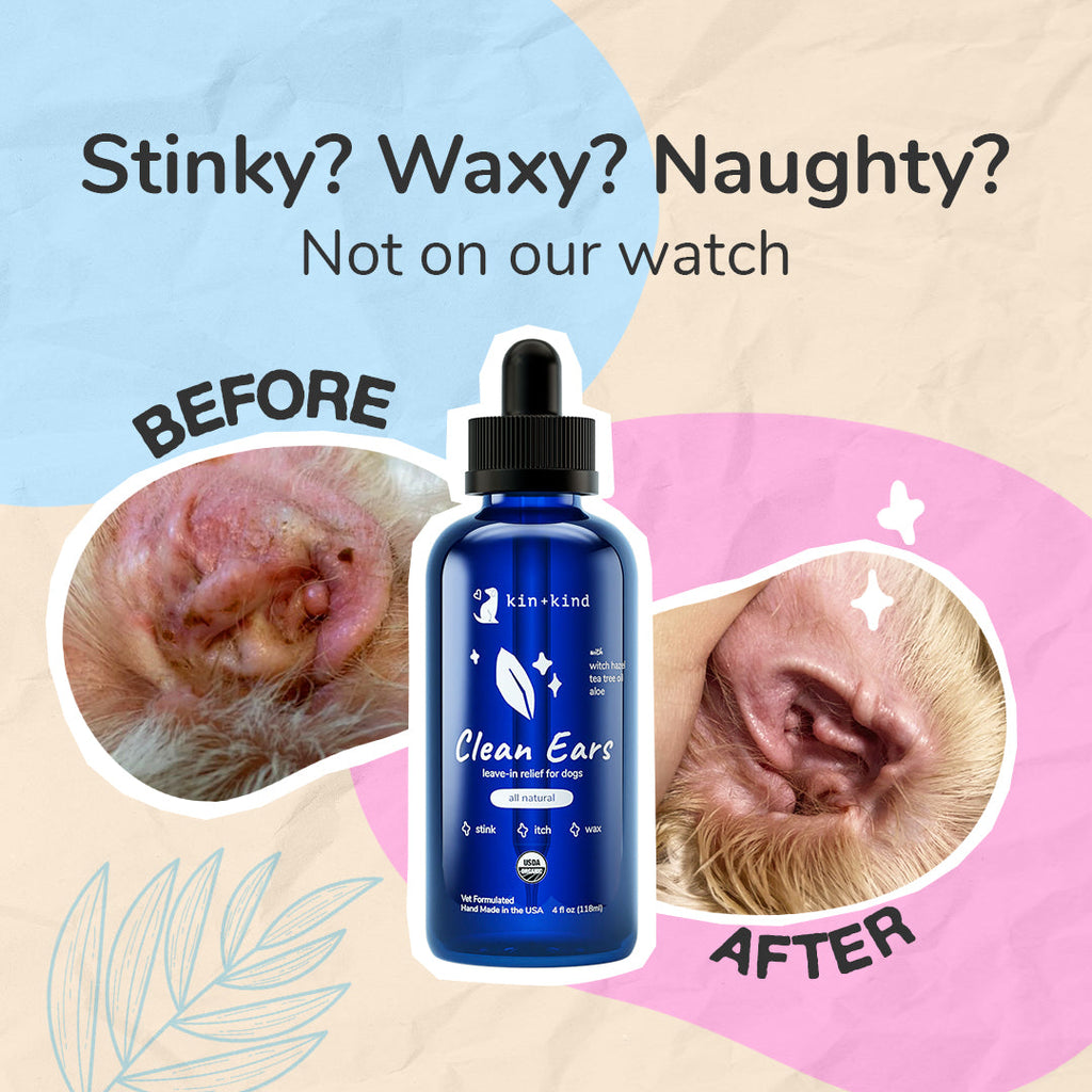 Dog Ear Cleaner product image 2