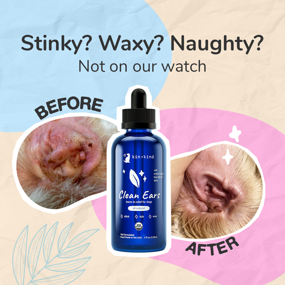 Dog Ear Cleaner product image 2