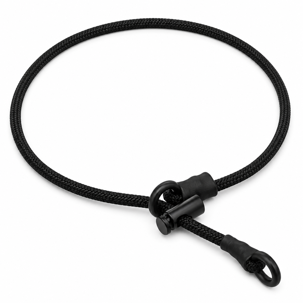 Dog Training Collar product image 1