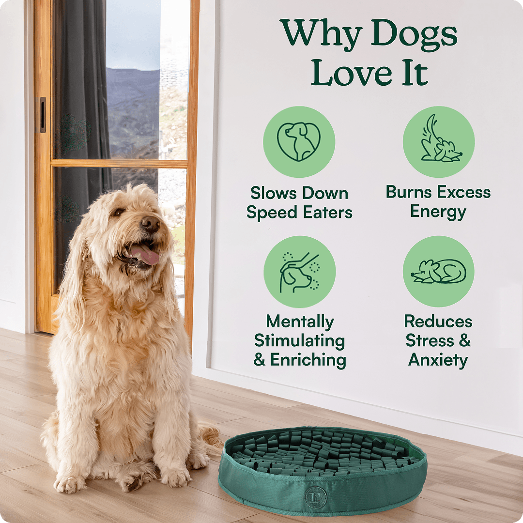 Dog Snuffle Mat product image 3