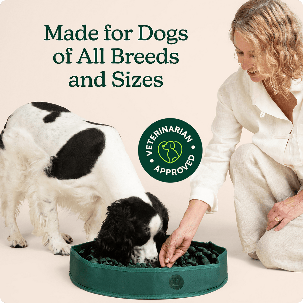 Dog Snuffle Mat product image 5