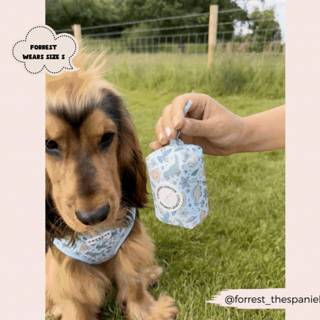 Dog Poop Bag Holder product image 5