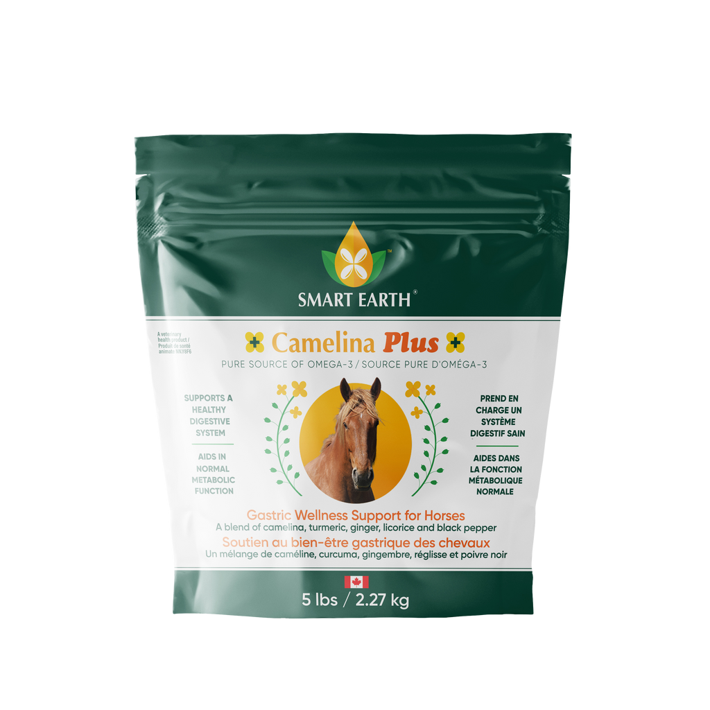 Horse Gastric Supplement product image 1