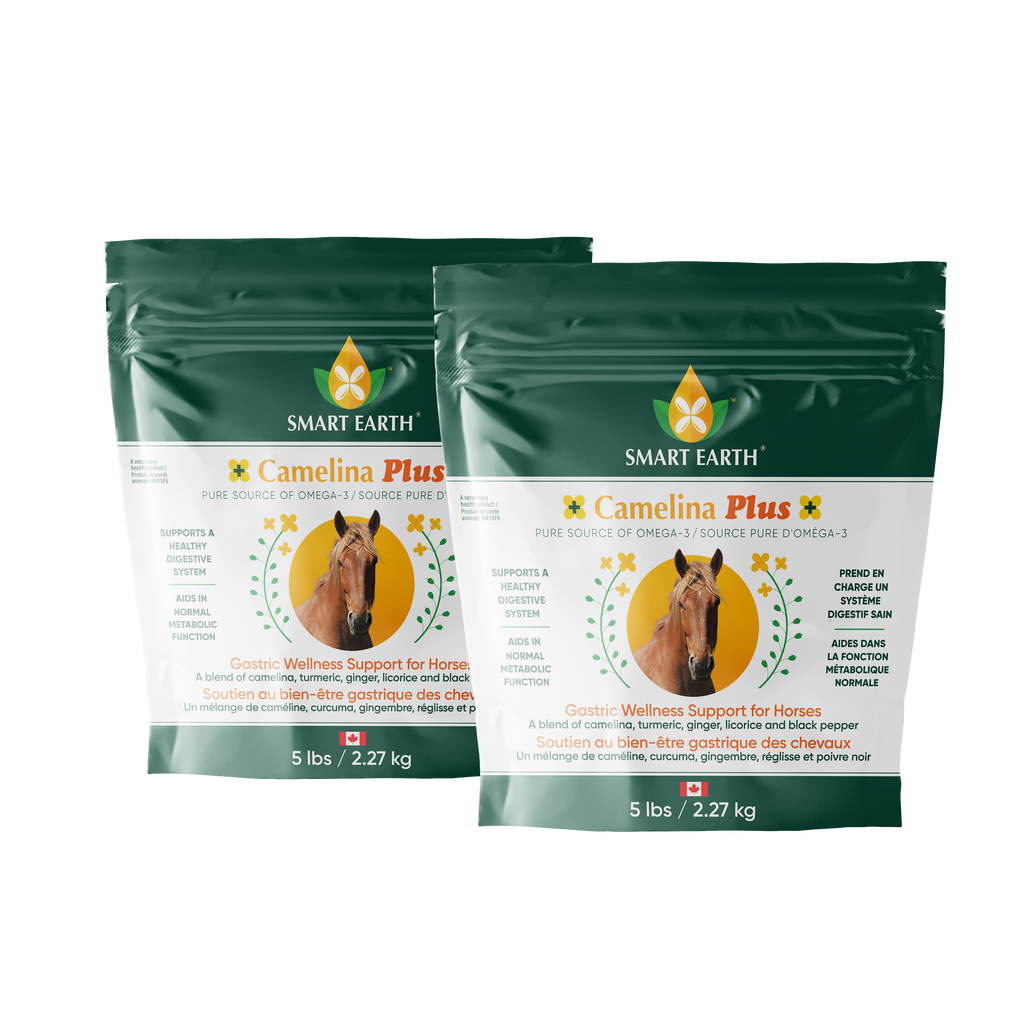 Horse Gastric Supplement product image 2