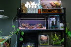 Rimless Aquarium product image 2