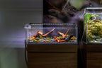 Rimless Aquarium product image 6