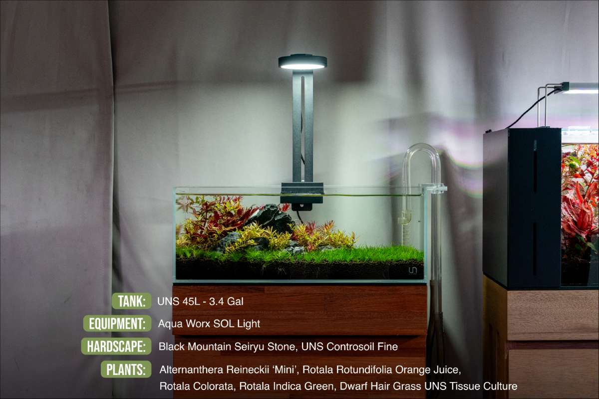Rimless Aquarium product image 8