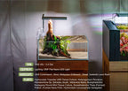 Rimless Aquarium product image 9