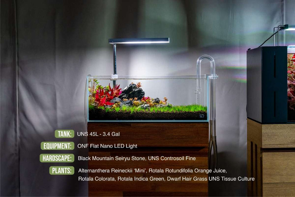 Rimless Aquarium product image 10