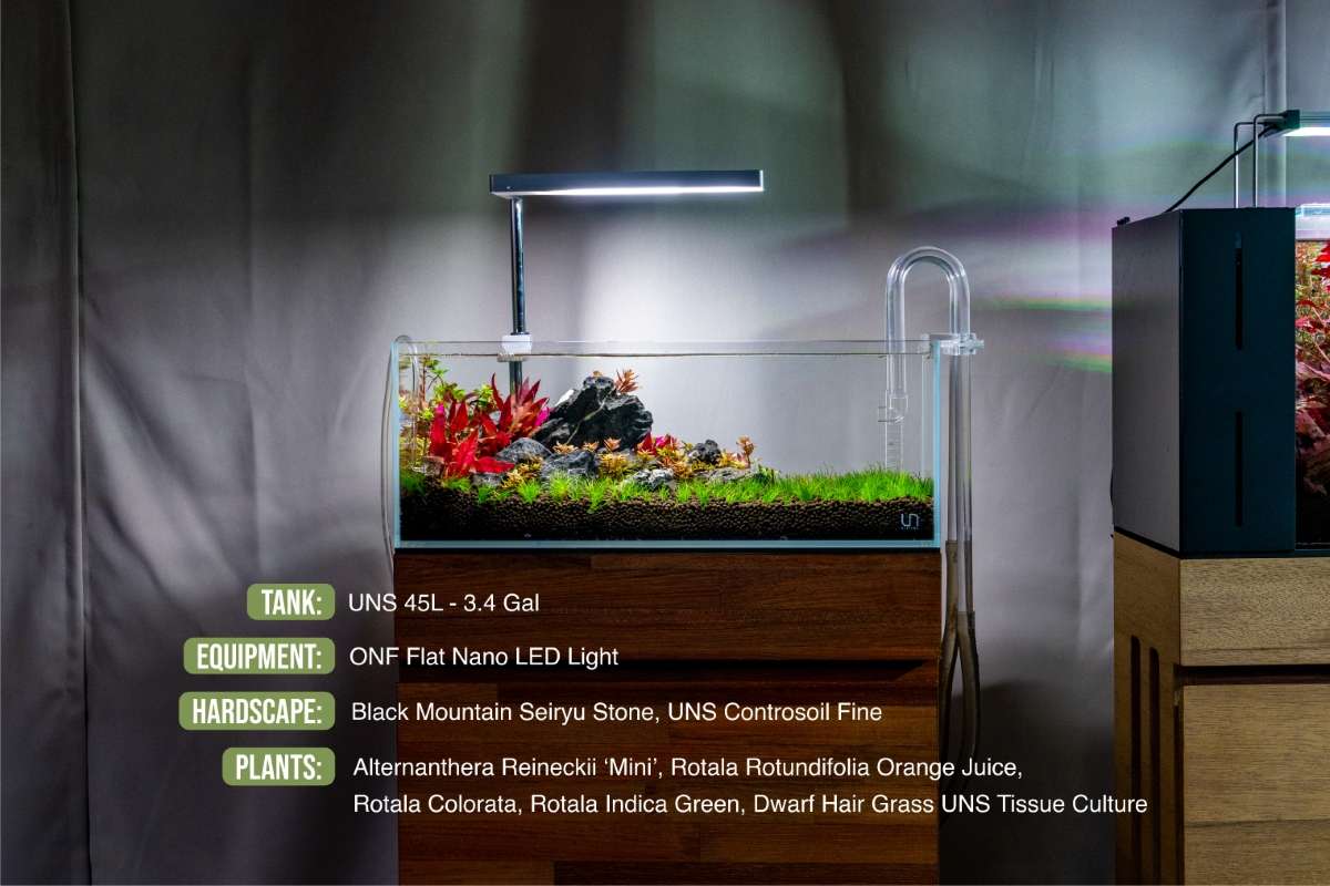 Rimless Aquarium product image 10