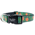 Dog Collar product image 1