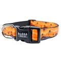 Dog Collar product image 1