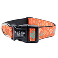 Dog Collar product image 1