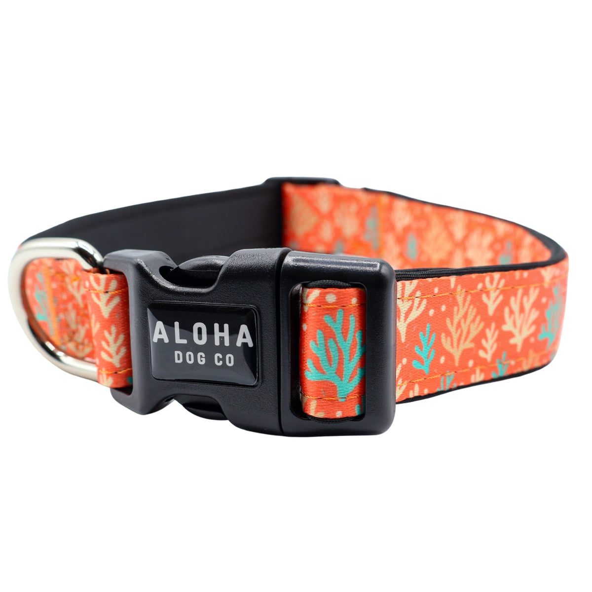 Dog Collar product image 1